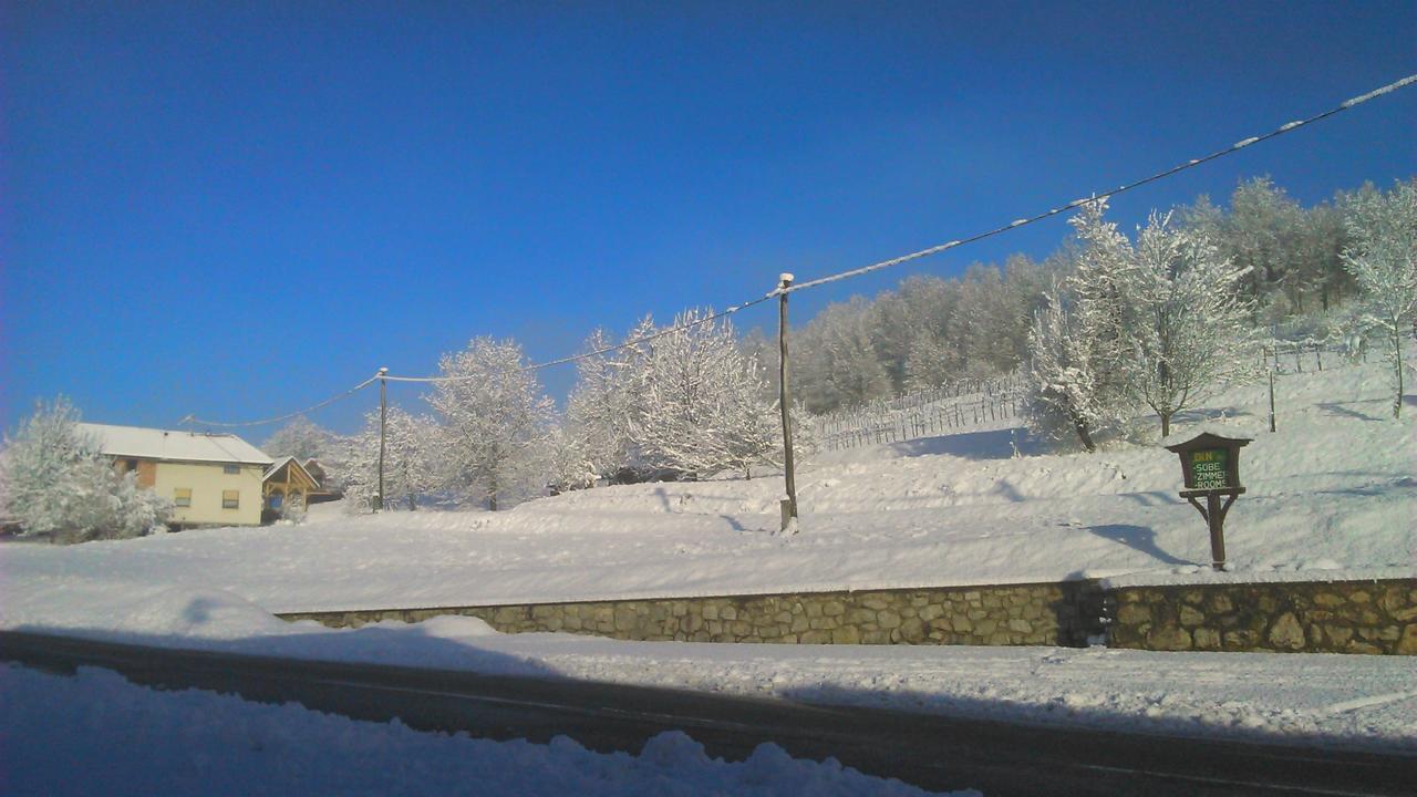 Bed&Breakfast Zilje Bed and Breakfast Vinica Buitenkant foto